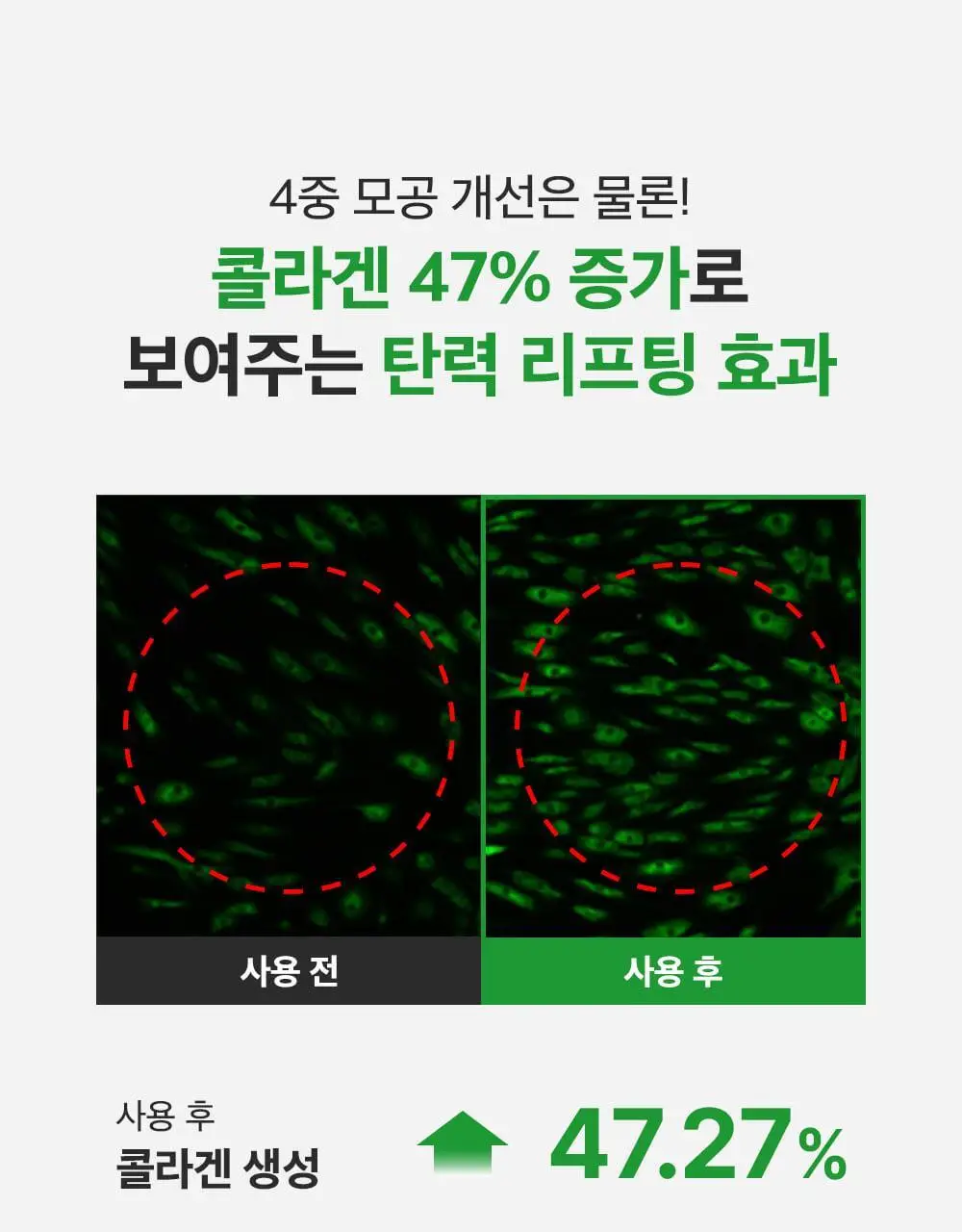 [산리오 콜라보/1등모공앰플] 성분에디터 그린토마토 NMN 포어 리프팅 앰플 40ml 더블 기획 (+산리오 빗거울) 상세페이지 60